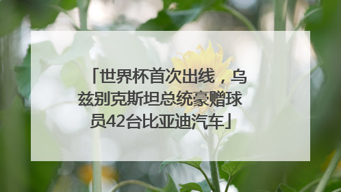 世界杯首次出线，乌兹别克斯坦总统豪赠球员42台比亚迪汽车