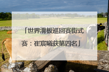 世界滑板巡回赛街式赛：崔宸曦获第四名