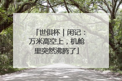 世俱杯｜闲记：万米高空上，机舱里突然沸腾了