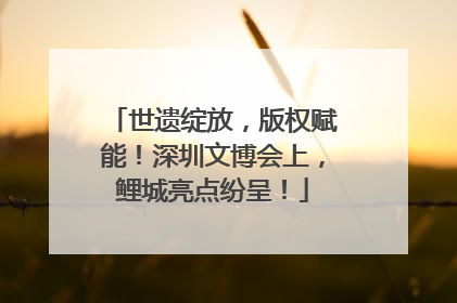 世遗绽放，版权赋能！深圳文博会上，鲤城亮点纷呈！