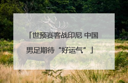 世预赛客战印尼 中国男足期待“好运气”