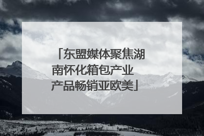 东盟媒体聚焦湖南怀化箱包产业 产品畅销亚欧美