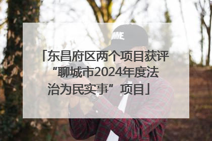 东昌府区两个项目获评“聊城市2024年度法治为民实事”项目