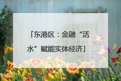 东港区：金融“活水”赋能实体经济