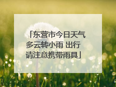 东营市今日天气多云转小雨 出行请注意携带雨具