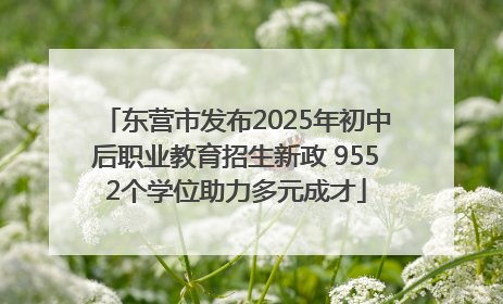 东营市发布2025年初中后职业教育招生新政 9552个学位助力多元成才
