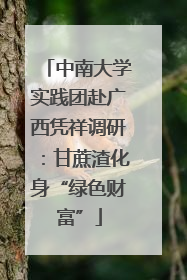 中南大学实践团赴广西凭祥调研：甘蔗渣化身“绿色财富”