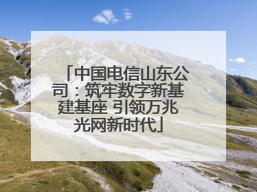 中国电信山东公司：筑牢数字新基建基座 引领万兆光网新时代