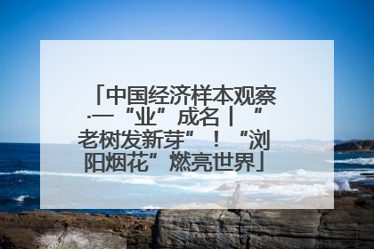 中国经济样本观察·一“业”成名丨“老树发新芽”！“浏阳烟花”燃亮世界