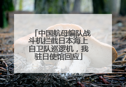 中国航母编队战斗机拦截日本海上自卫队巡逻机，我驻日使馆回应