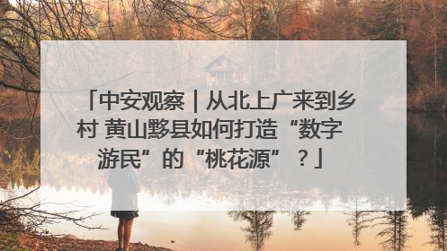 中安观察｜从北上广来到乡村 黄山黟县如何打造“数字游民”的“桃花源”？