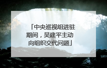 中央巡视组进驻期间，吴建平主动向组织交代问题