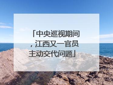 中央巡视期间，江西又一官员主动交代问题