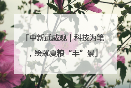 中新武威观｜科技为笔，绘就夏粮“丰”景