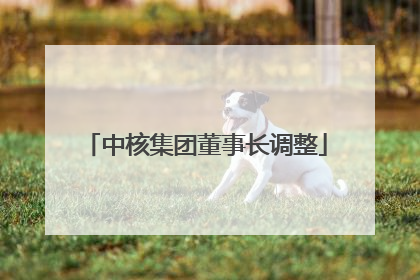 中核集团董事长调整