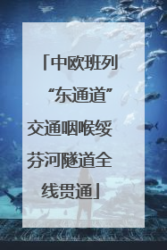 中欧班列“东通道”交通咽喉绥芬河隧道全线贯通