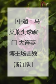 中超：马莱莱头球破门 大连英博主场击败浙江队