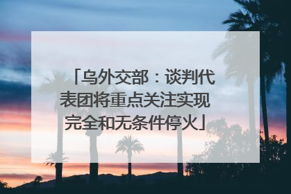 乌外交部：谈判代表团将重点关注实现完全和无条件停火