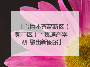 乌鲁木齐高新区（新市区）：贯通产学研 融出新图景