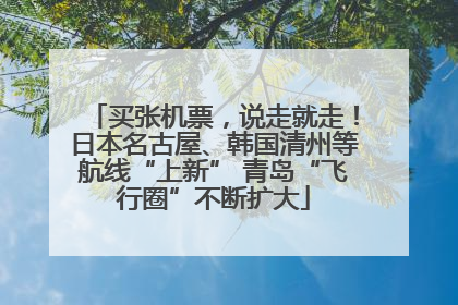 买张机票，说走就走！日本名古屋、韩国清州等航线“上新” 青岛“飞行圈”不断扩大