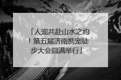 人宠共赴山水之约！第五届济南携宠徒步大会圆满举行