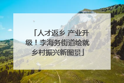 人才返乡 产业升级！李海务街道绘就乡村振兴新图景