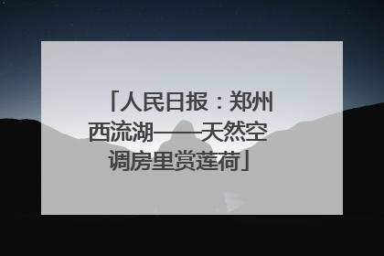 人民日报：郑州西流湖——天然空调房里赏莲荷