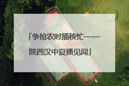 争抢农时插秧忙——陕西汉中夏播见闻