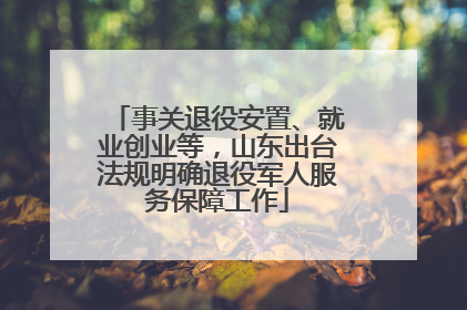 事关退役安置、就业创业等，山东出台法规明确退役军人服务保障工作
