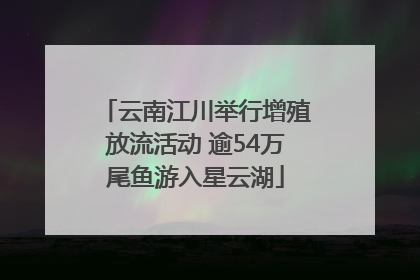 云南江川举行增殖放流活动 逾54万尾鱼游入星云湖