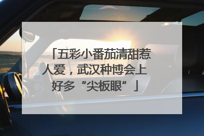 五彩小番茄清甜惹人爱，武汉种博会上好多“尖板眼”