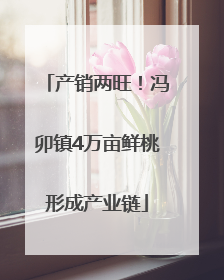 产销两旺！冯卯镇4万亩鲜桃形成产业链