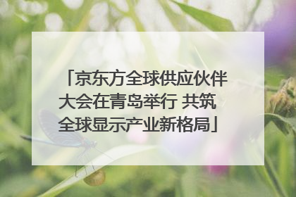 京东方全球供应伙伴大会在青岛举行 共筑全球显示产业新格局