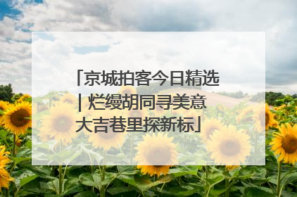 京城拍客今日精选｜烂缦胡同寻美意 大吉巷里探新标