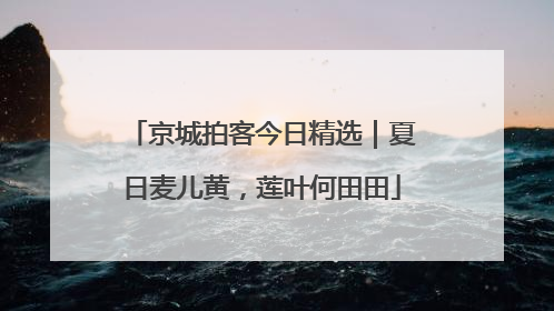 京城拍客今日精选｜夏日麦儿黄，莲叶何田田