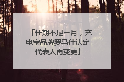 任期不足三月，充电宝品牌罗马仕法定代表人再变更