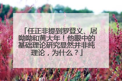 任正非提到罗登义、屠呦呦和黄大年！他眼中的基础理论研究显然并非纯理论，为什么？
