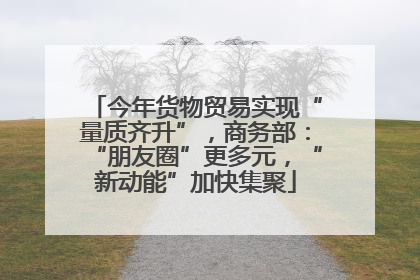 今年货物贸易实现“量质齐升”，商务部：“朋友圈”更多元，“新动能”加快集聚