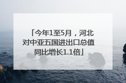 今年1至5月，河北对中亚五国进出口总值同比增长1.1倍