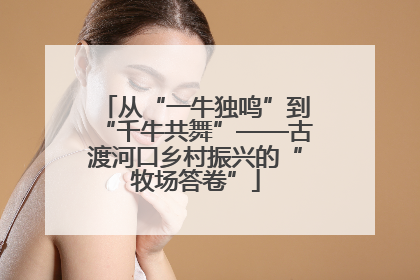 从“一牛独鸣”到“千牛共舞”——古渡河口乡村振兴的“牧场答卷”