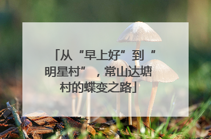从“早上好”到“明星村”，常山达塘村的蝶变之路