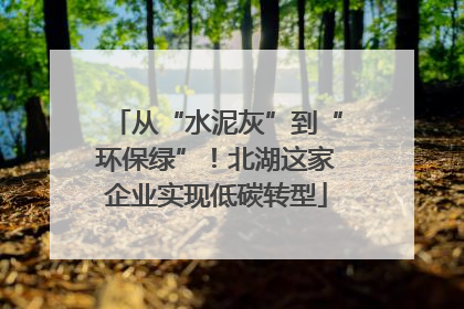 从“水泥灰”到“环保绿”！北湖这家企业实现低碳转型