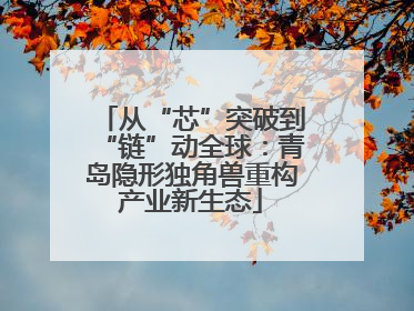 从“芯”突破到“链”动全球：青岛隐形独角兽重构产业新生态