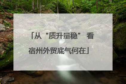 从“质升量稳” 看宿州外贸底气何在