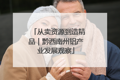 从卖资源到造精品｜黔西南州铝产业发展观察