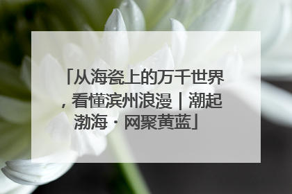 从海瓷上的万千世界，看懂滨州浪漫｜潮起渤海・网聚黄蓝