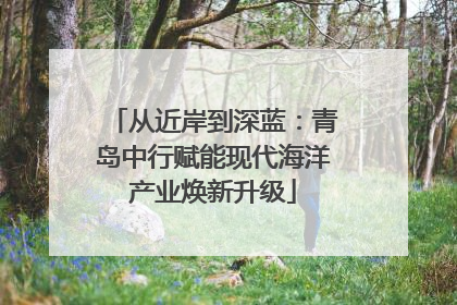 从近岸到深蓝：青岛中行赋能现代海洋产业焕新升级