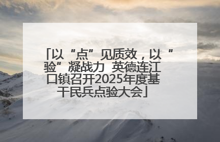 以“点”见质效，以“验”凝战力  英德连江口镇召开2025年度基干民兵点验大会