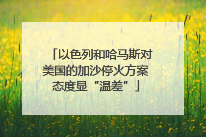 以色列和哈马斯对美国的加沙停火方案态度显“温差”
