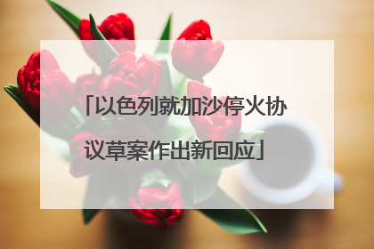 以色列就加沙停火协议草案作出新回应